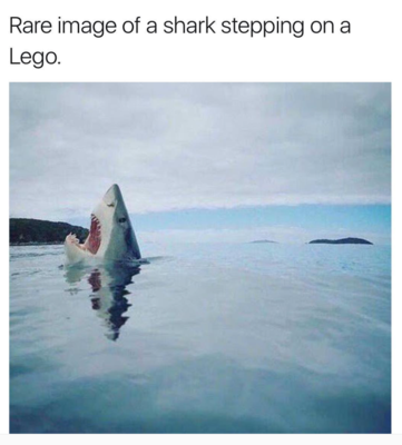 Shark Lego.png