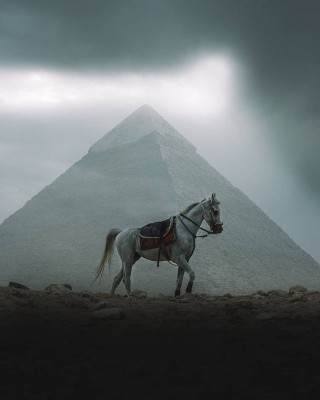 monochromatic-pyramids-giza-egypt-karim-amr-4.jpeg